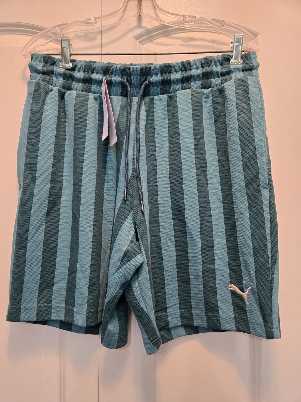 Puma NWT Men’s Emerald Ice Striped Athletic Shorts